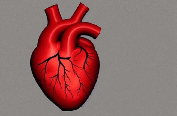 Cardiovascular health