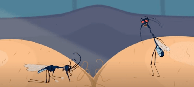 Mosquitoes are on the biggest butt hole