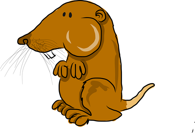 Pocket gopher