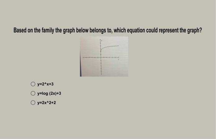 Based on the family the graph below belongs to, which equation could represent the graph?
