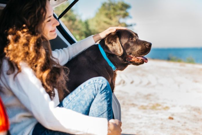 Young woman with her dog in a beach Young woman with her dog in a beach