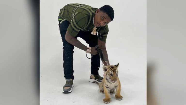 A Tiger Cub inside The House of Trapboy Freddy