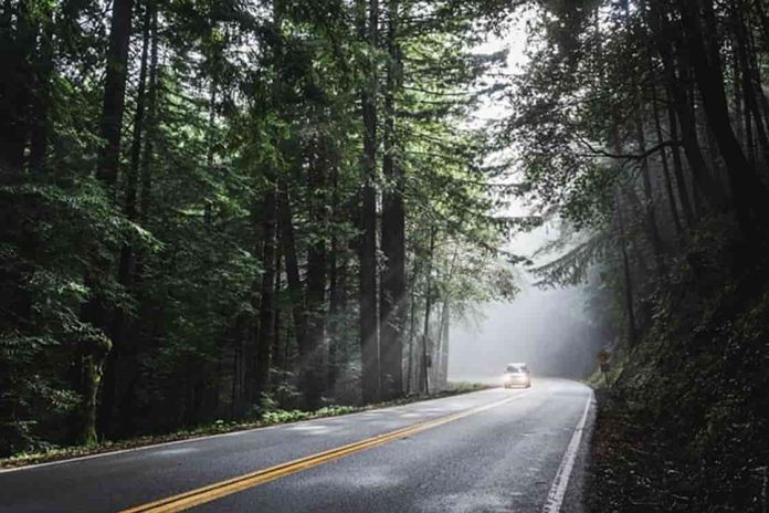 Plan the ultimate Icelandic road trip with 4 essential tips for stunning sights, smooth travel, and unforgettable adventures.