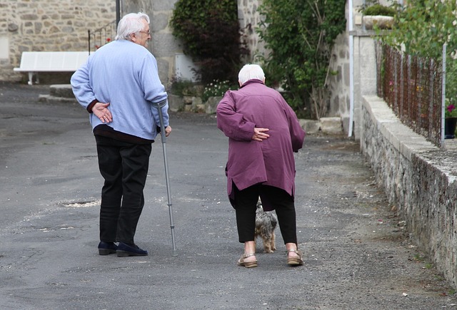 Daily Support Strategies for Aging Adults