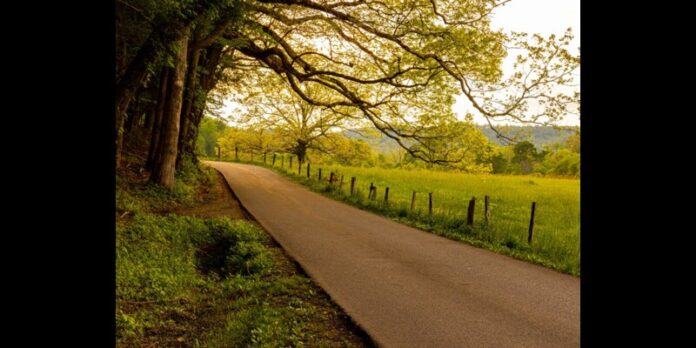 Family Travel to Pigeon Forge