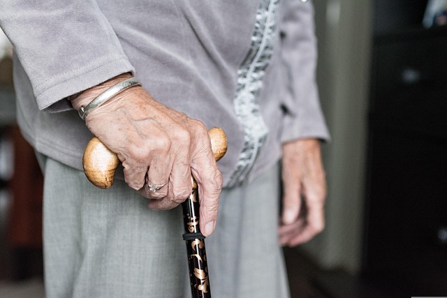 Promoting Senior Health and Longevity