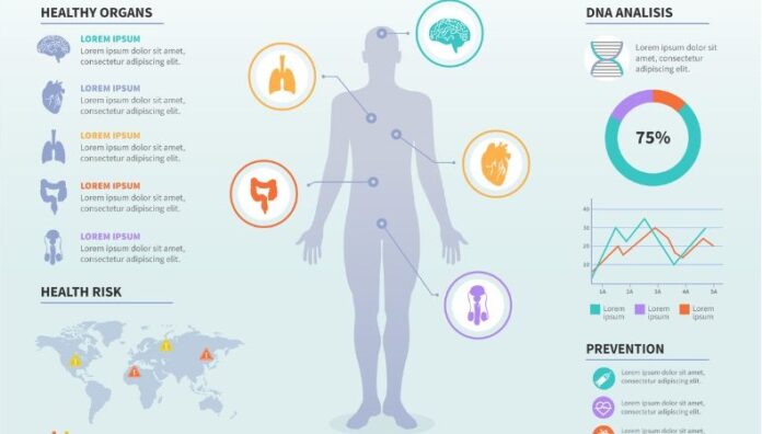 Human Body Health and DNA Analysis Infographic Human Body Health and DNA Analysis Infographic