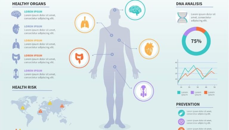 Human Body Health and DNA Analysis Infographic
