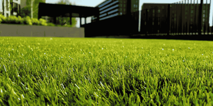 Safe Outdoor Play Area with Fresh Green Space