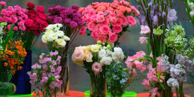 A vibrant arrangement of multicolored flowers in glass vases displayed on neon-colored pedestals, perfect for an event or home decoration.