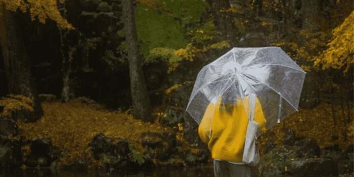 A female with a transparent umbrella and yellow sweater stands by trees and autumn leaves after the rain.