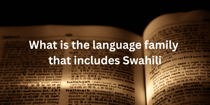 Open book with text asking what is the language family that includes Swahili.
