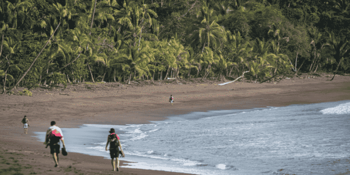Travelers walking along a quiet tropical beach surrounded by palm trees in Costa Rica, symbolizing adventure and the need for travel protection.