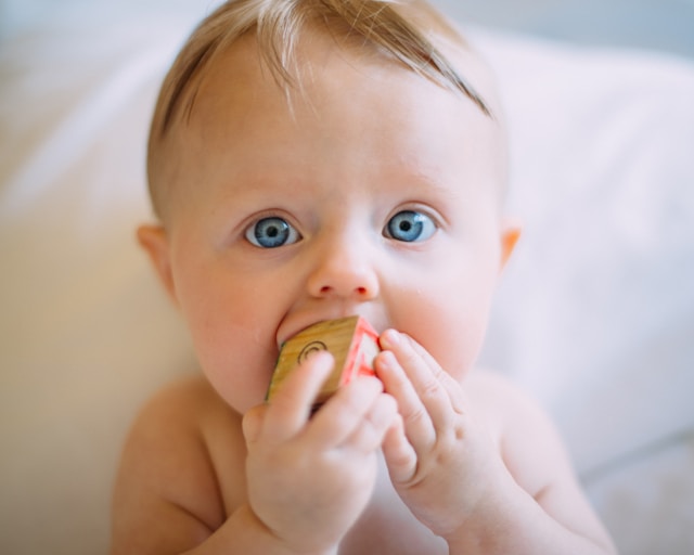 A Baby Can Smell, Hear, Feel, Taste, and See Simultaneously