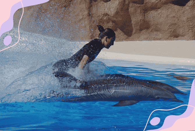 woman-in-a-sexual-relationship-with-a-dolphin A Woman in a Sexual Relationship With a Dolphin