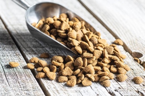 Freeze-Dried Pet Food Freeze-Dried Pet Food